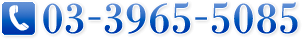 03-3965-